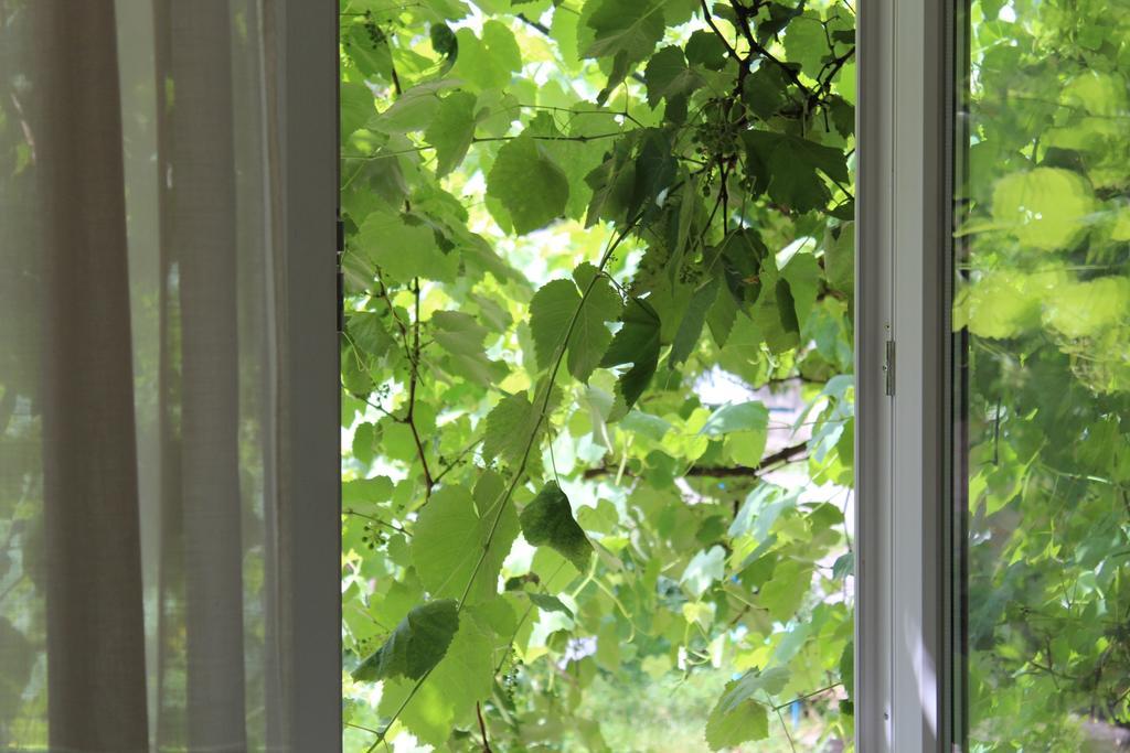 Apartment For Guests With Soul Vinnytsia Extérieur photo
